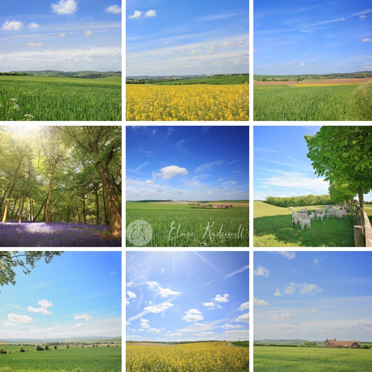 LandscapesTip9upTemplage